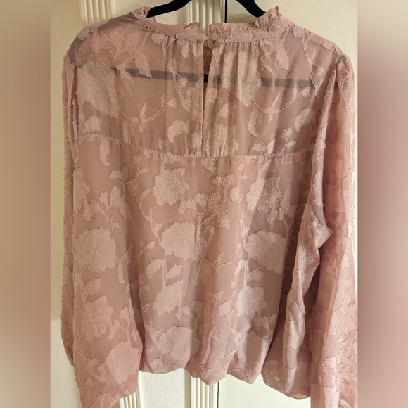 Sheer lined blouse - Picture 3 of 4